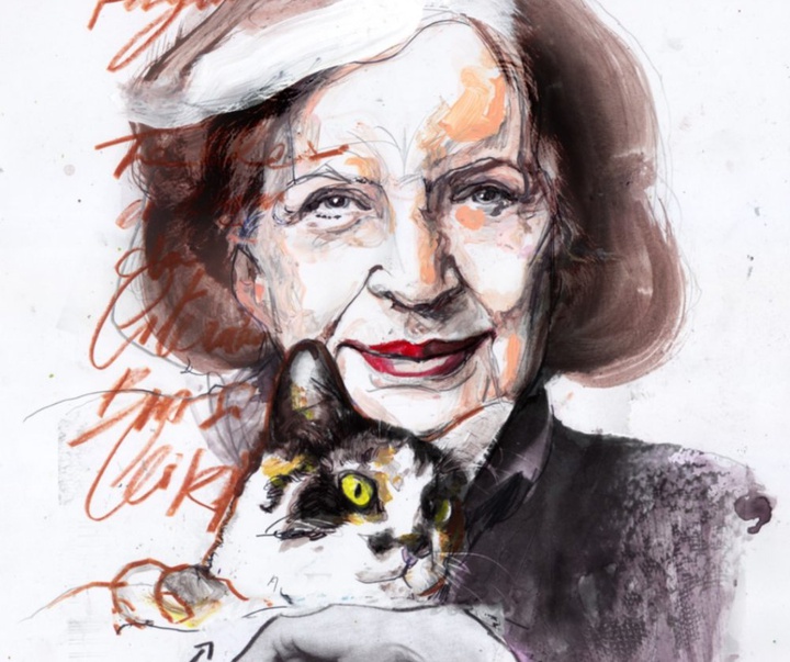 گالری آثار تصویرسازی زی اوتاویو از برزیل - قسمت اول