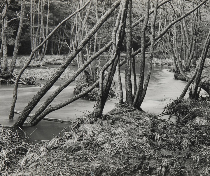 گالری آثار عکاسی آلبرت رنگر-پاتش از آلمان