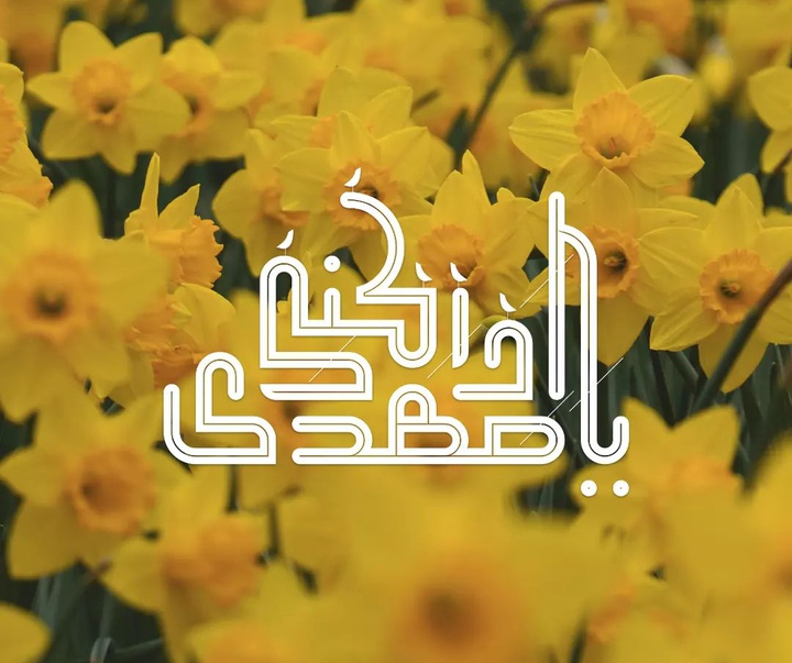 گالری آثار حروف نگاری و خوشنویسی فاطمه امینی