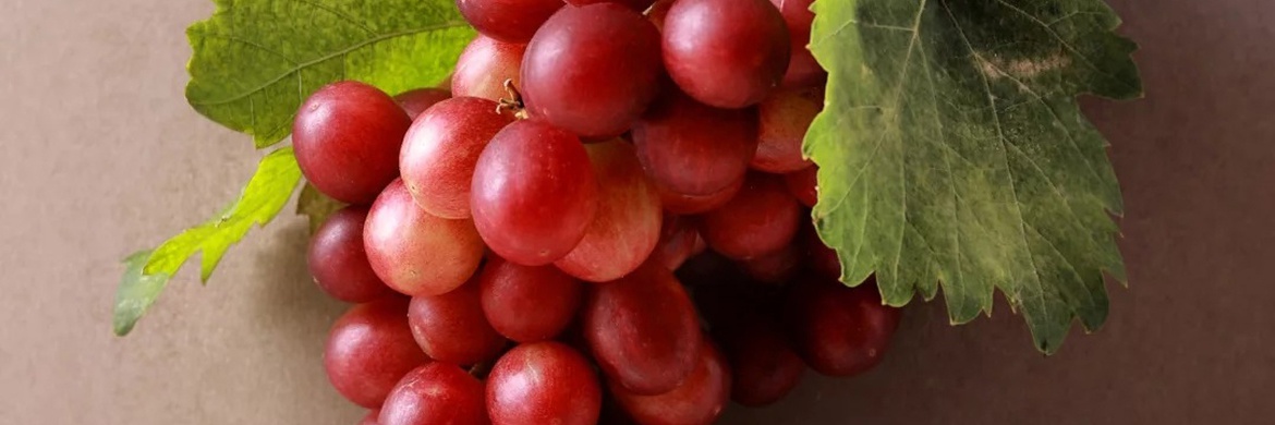 گالری عکس های خوزه ملادو از اسپانیا