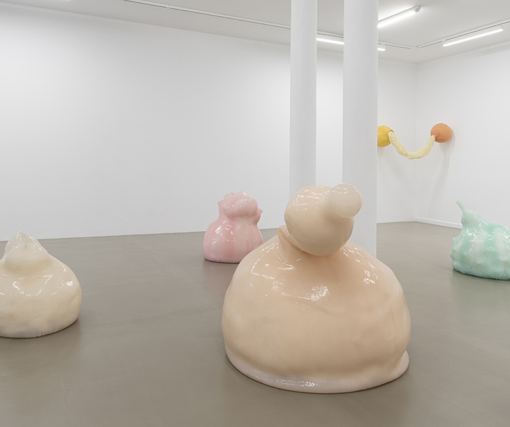 گالری آثر چیدمان و حجم اوا فابرگاس از اسپانیا