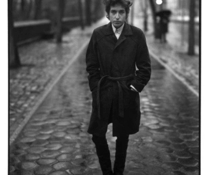 گالری آثار عکاسی ریچارد آودون از آمریکا