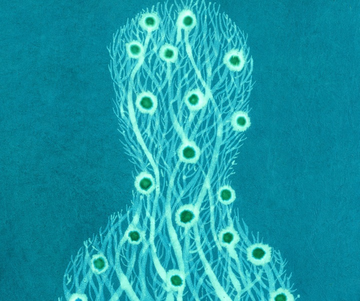 گالری تصویرسازی های پپ کاریو از اسپانیا