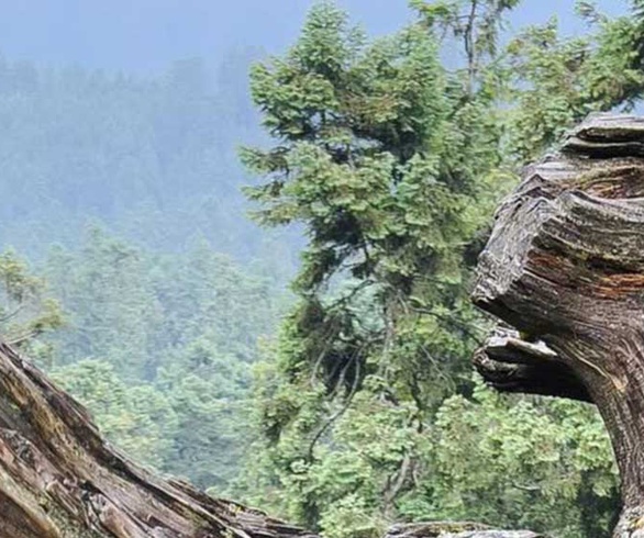 گالری آثار عکاسی اروین آندرس فریر اوکانا از مکزیک