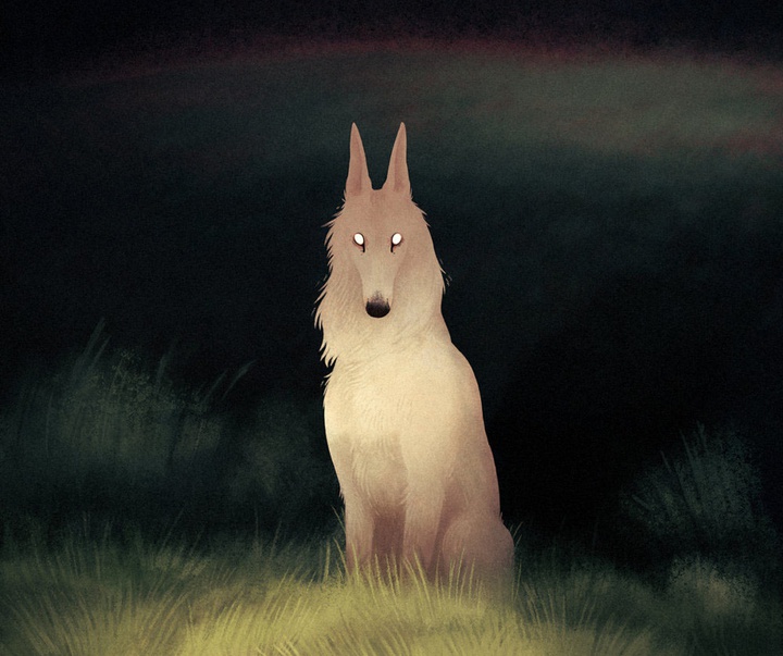 گالری آثار تصویرسازی جنا بارتون از آمریکا