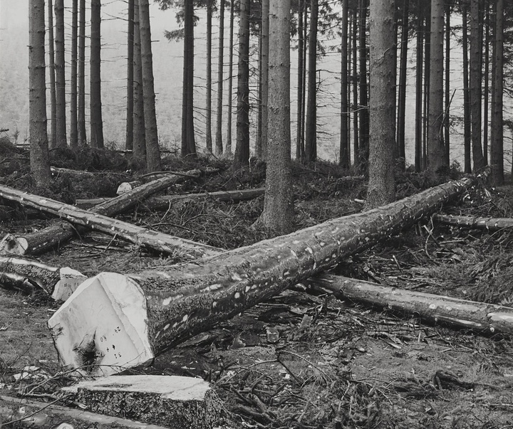 گالری آثار عکاسی آلبرت رنگر-پاتش از آلمان