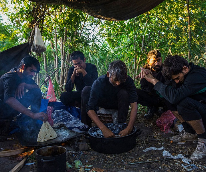 گالری آثار عکاسی لالو د آلمیدا از برزیل - قسمت دوم