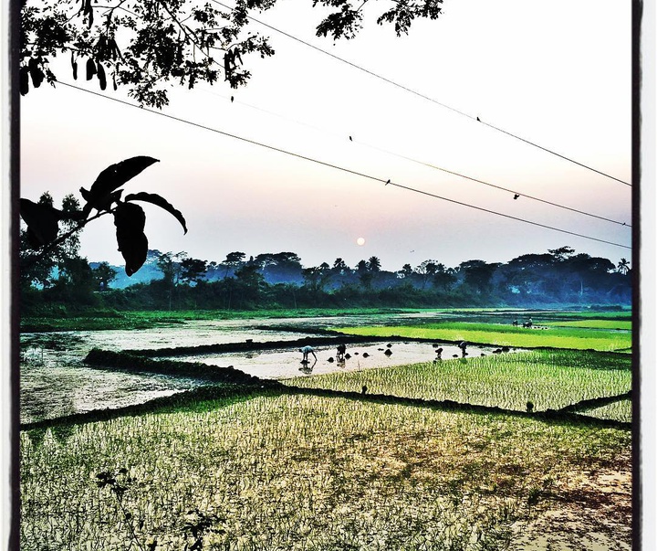 گالری منتخب عکس های شهیدالعالم از بنگلادش
