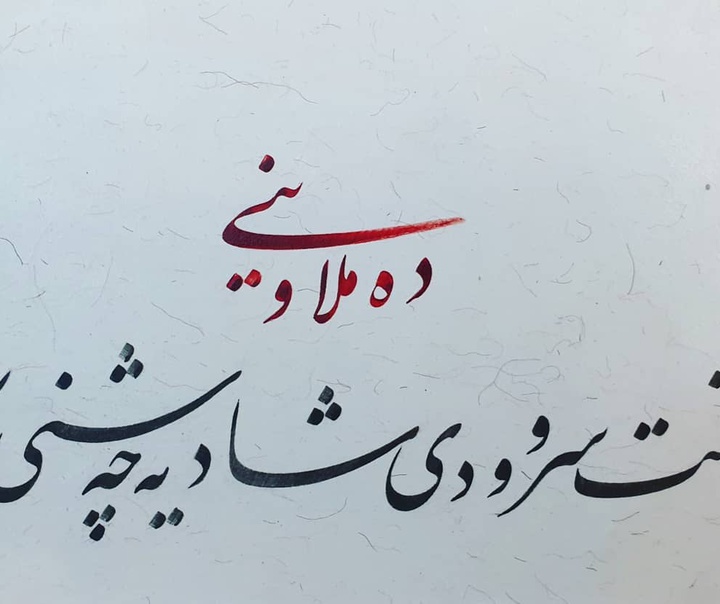 آزاد محمودی