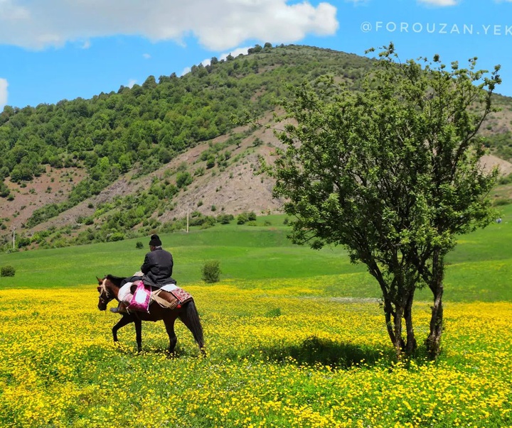 گالری عکس های فروزان یکتایی از ایران