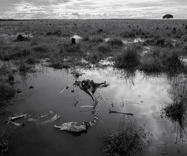 گالری آثار عکاسی خوانیتا اسکوبار از کلمبیا