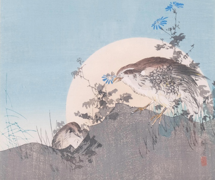 گالری آثار گرافیک کوگیو تسوکیوکا از ژاپن