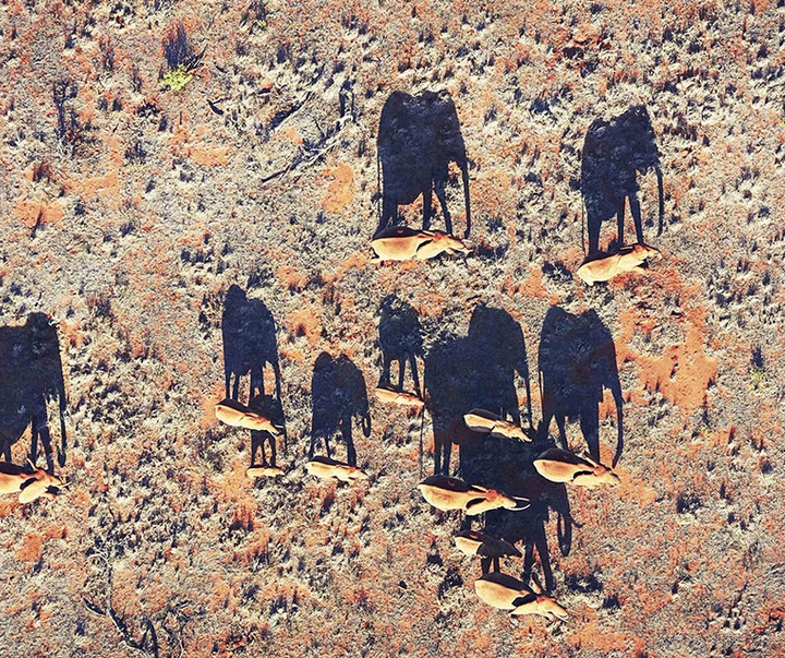 گالری عکس‌های خلاقانه تیم فلچ از بریتانیا