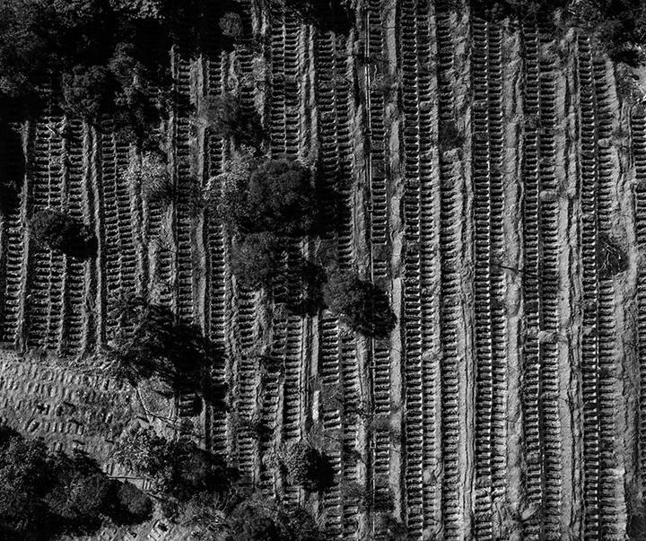 گالری آثار عکاسی لالو د آلمیدا از برزیل - قسمت اول