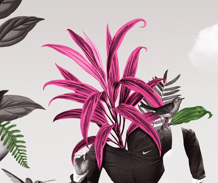 گالری تصویرسازی‌های گیرمو فلورس پاچکو از مکزیک