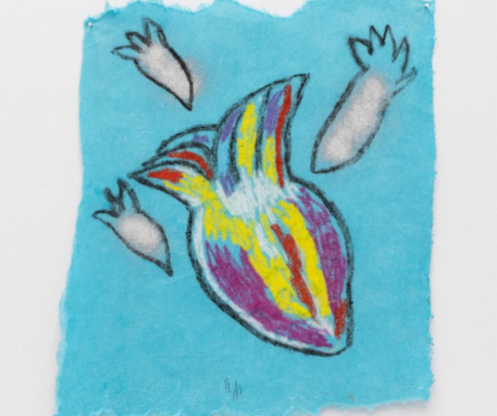 گالری تصویرسازی‌های تادسکیا از برزیل